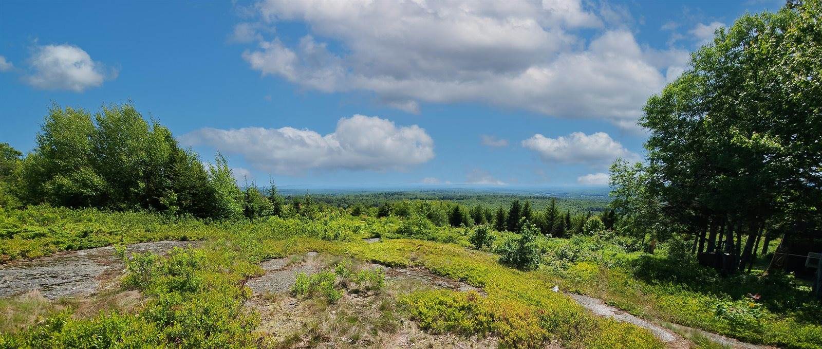 533 Mount Ephraim Map 4 Lot 63 Road, Searsport, ME 04974