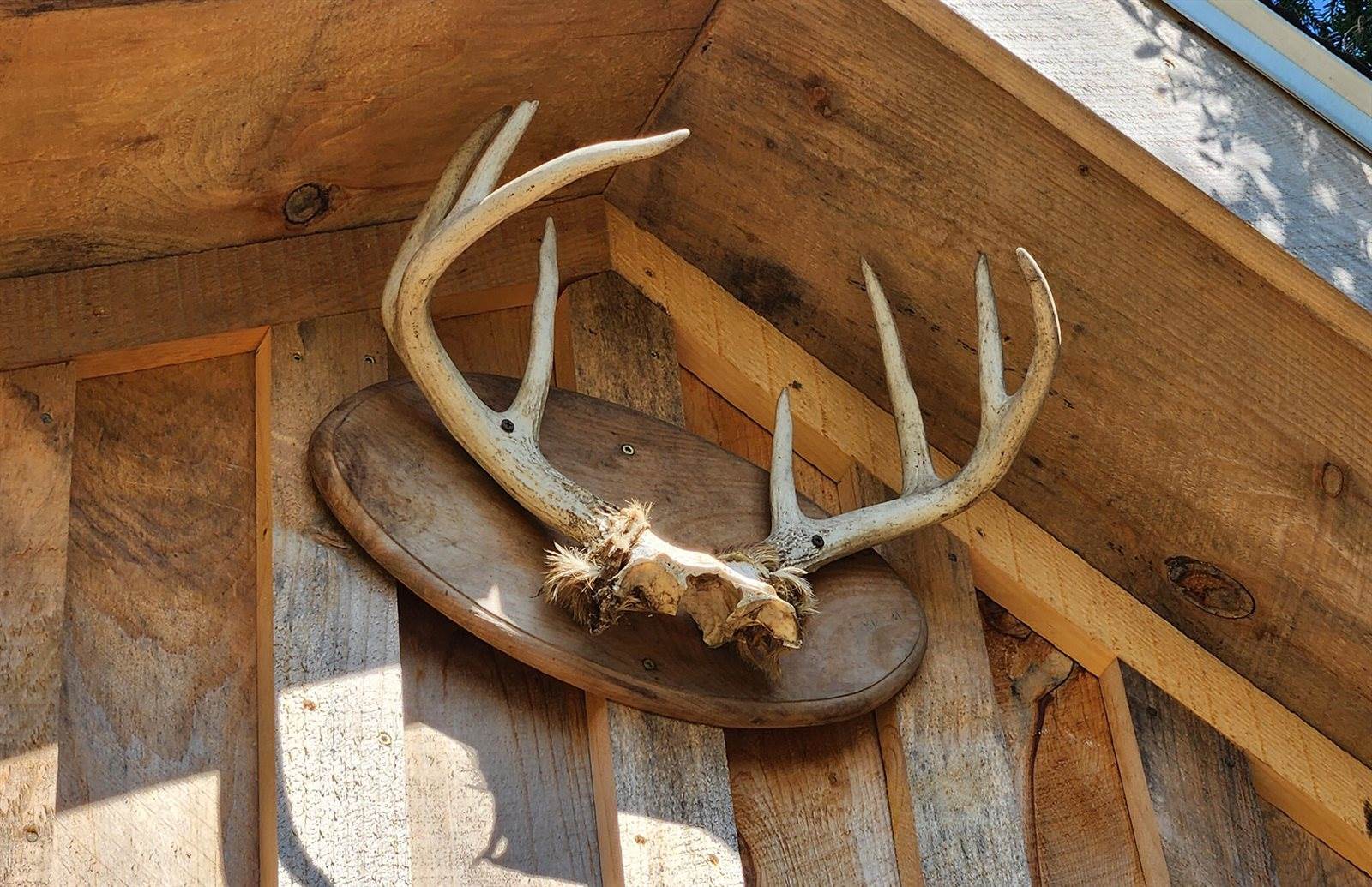 533 Mount Ephraim Map 4 Lot 63 Road, Searsport, ME 04974