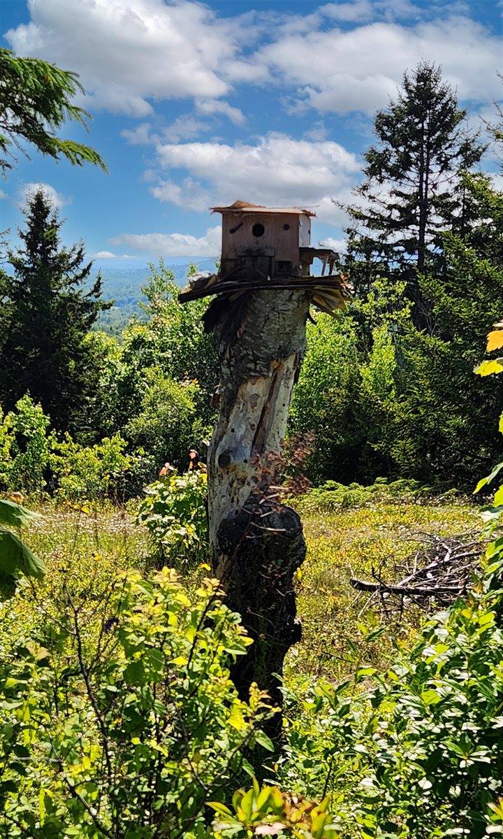 533 Mount Ephraim Map 4 Lot 63 Road, Searsport, ME 04974