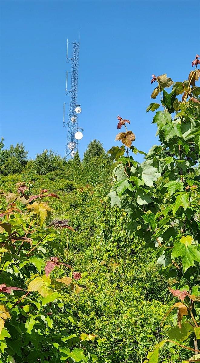 533 Mount Ephraim Map 4 Lot 63 Road, Searsport, ME 04974