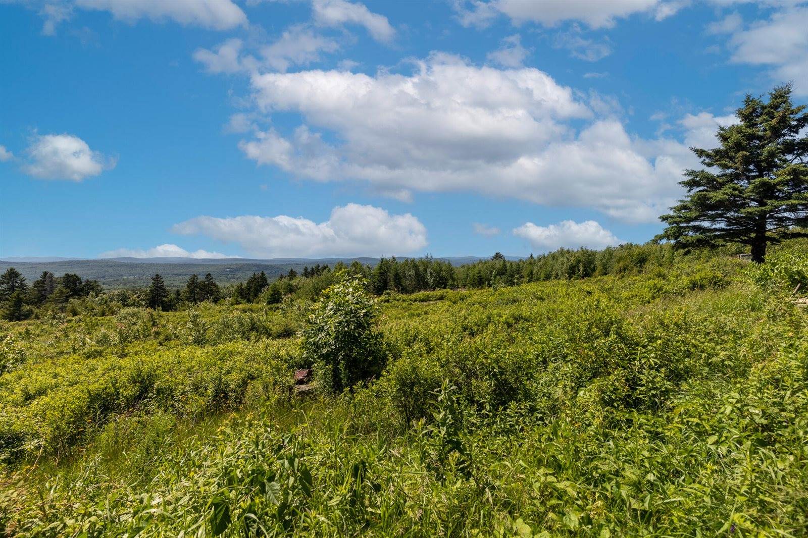 533 Mount Ephraim Map 4 Lot 63 Road, Searsport, ME 04974