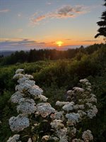 533 Mount Ephraim Map 4 Lot 63 Road, Searsport, ME 04974