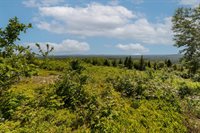 533 Mount Ephraim Map 4 Lot 63 Road, Searsport, ME 04974