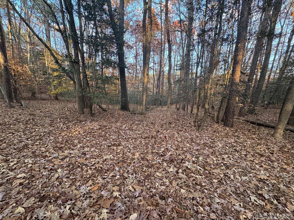 LOT 64 Windward Passage, Bracey, VA 23919