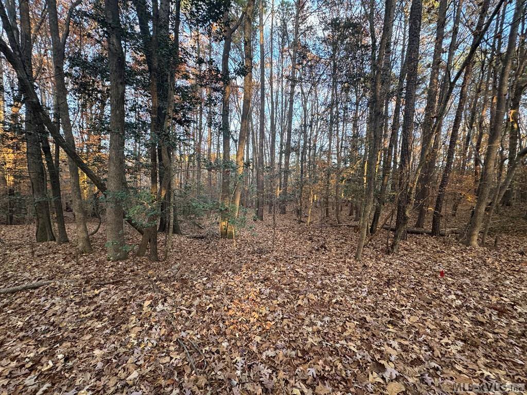 LOT 64 Windward Passage, Bracey, VA 23919