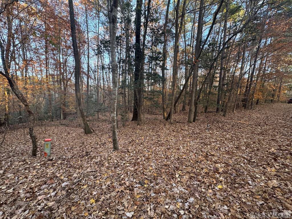 LOT 64 Windward Passage, Bracey, VA 23919