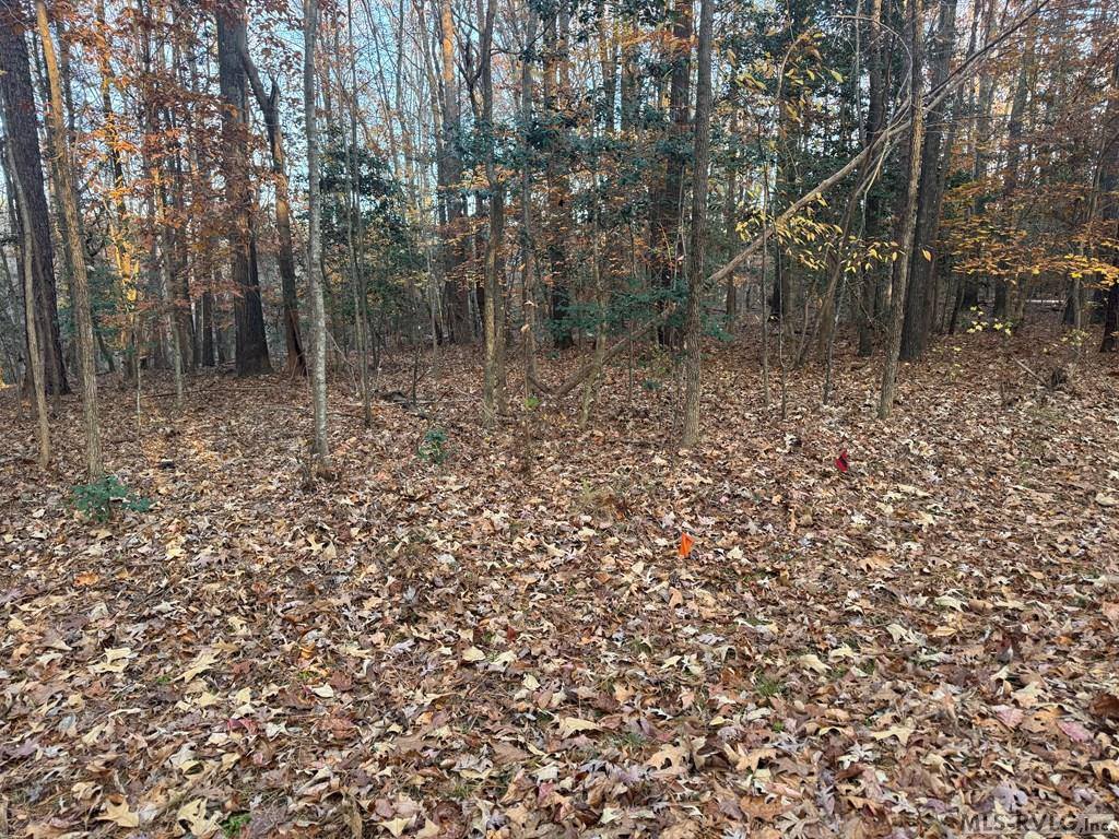 LOT 64 Windward Passage, Bracey, VA 23919