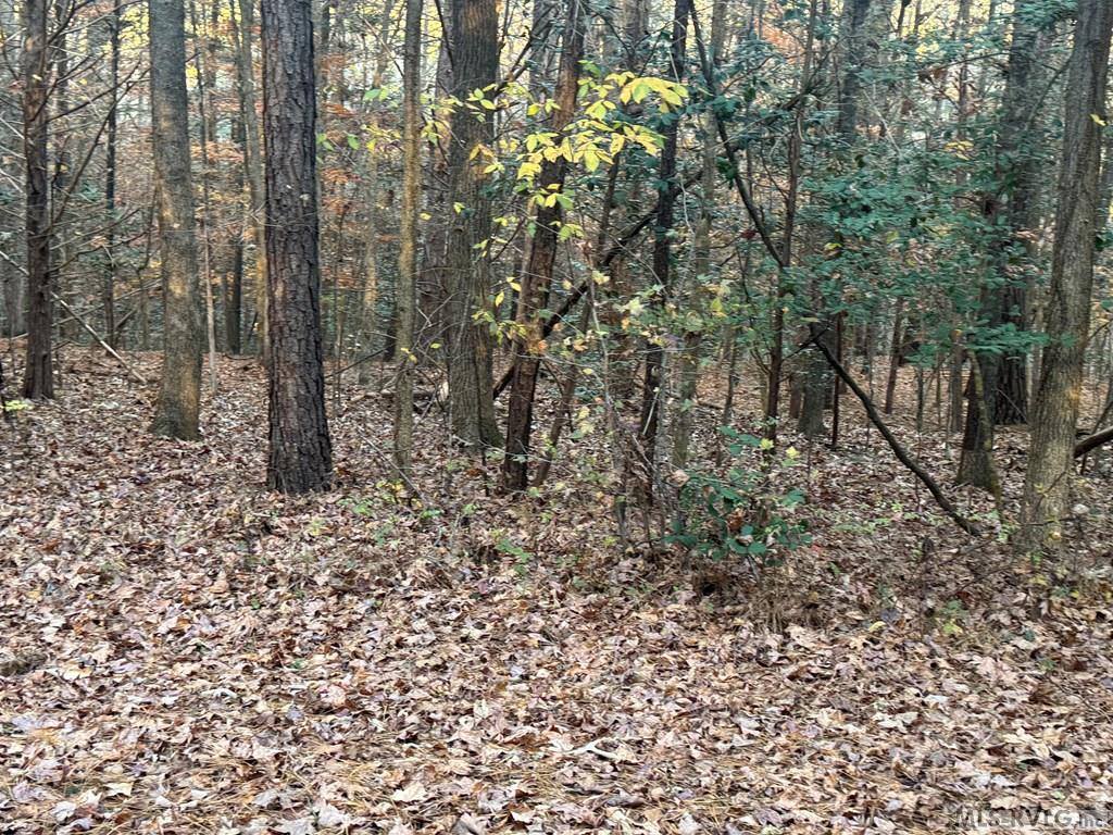 LOT 64 Windward Passage, Bracey, VA 23919
