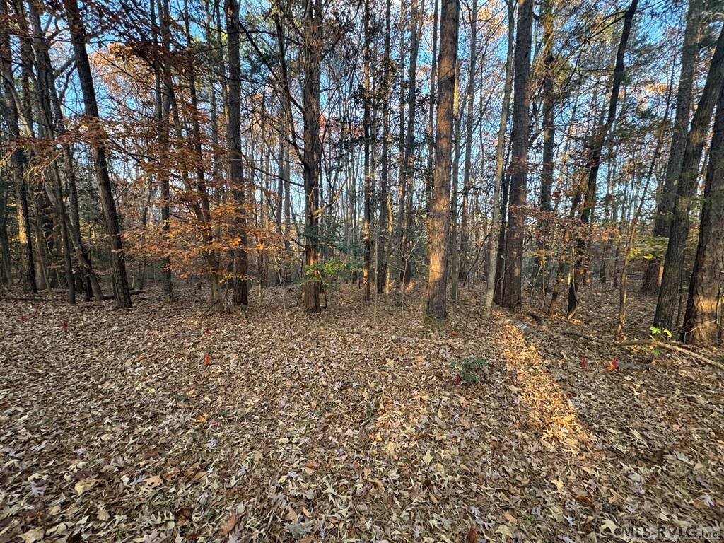 LOT 64 Windward Passage, Bracey, VA 23919