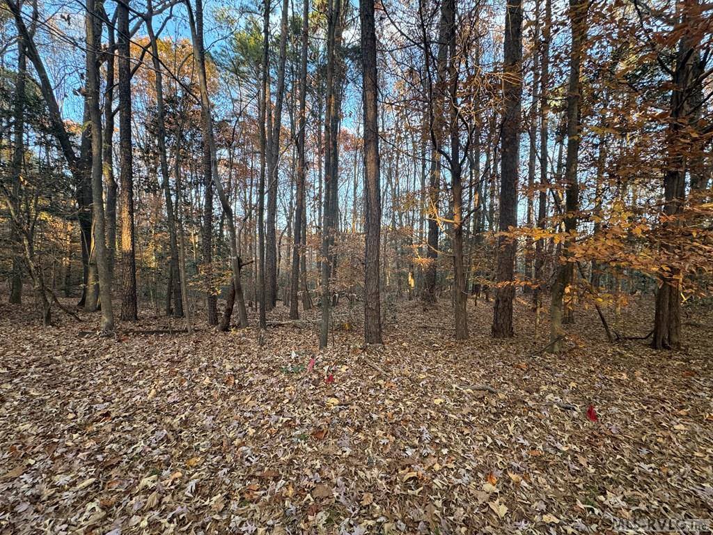 LOT 64 Windward Passage, Bracey, VA 23919