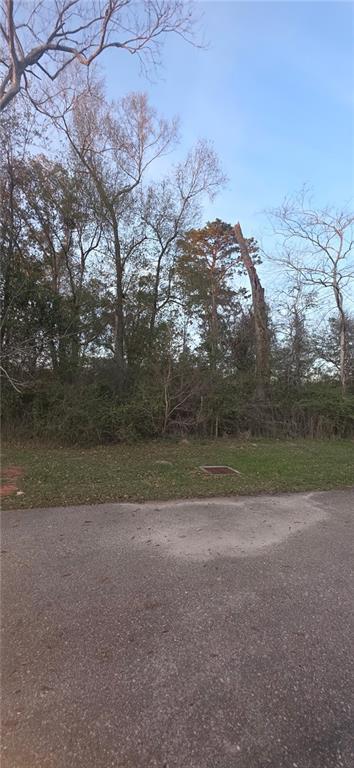 0.45 Acres E. Park Avenue, Hammond, LA 70403
