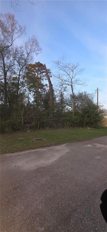 0.45 Acres E. Park Avenue, Hammond, LA 70403
