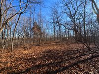 389 Gravois Circle, Eldon, MO 65026