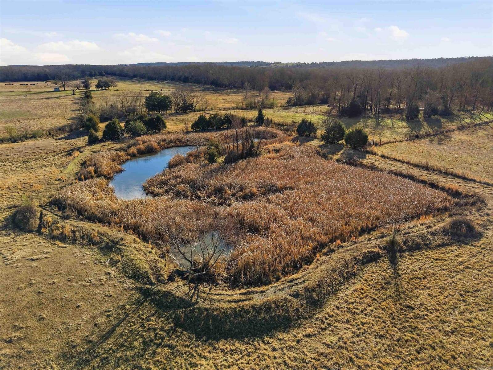 73 Protho Rd, Vilonia, AR 72173