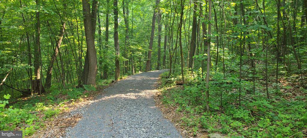 Mosby Spring Lane, Linden, VA 22642