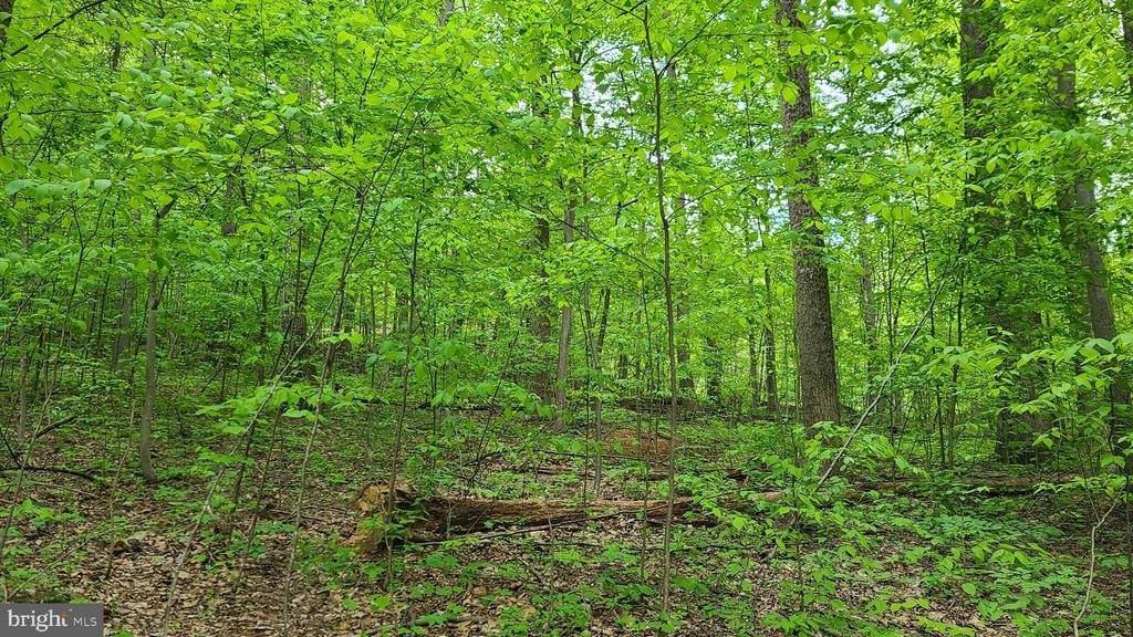 Mosby Spring Lane, Linden, VA 22642