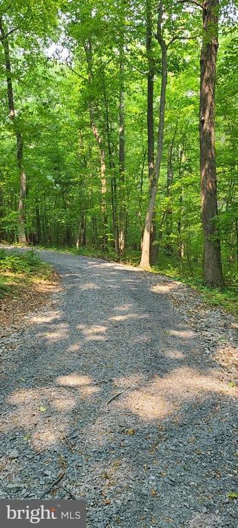 Mosby Spring Lane, Linden, VA 22642