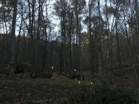 E13332 State Hwy 82 -, Stark, WI 54639