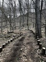 E13332 State Hwy 82 -, Stark, WI 54639