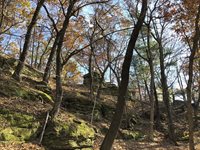 E13332 State Hwy 82 -, Stark, WI 54639