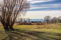 15214 6125 Road, Montrose, CO 81403