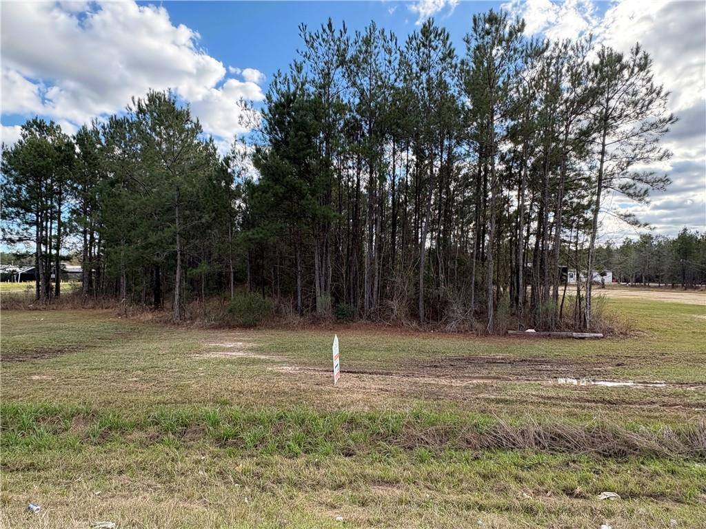 Highway 442 Highway, Tickfaw, LA 70466