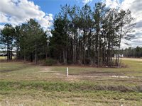 Highway 442 Highway, Tickfaw, LA 70466