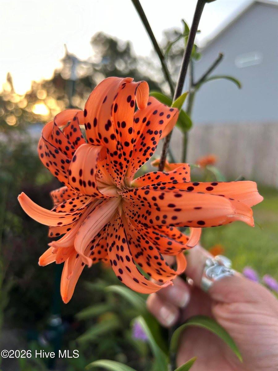 428 Elgin Road, Hubert, NC 28539