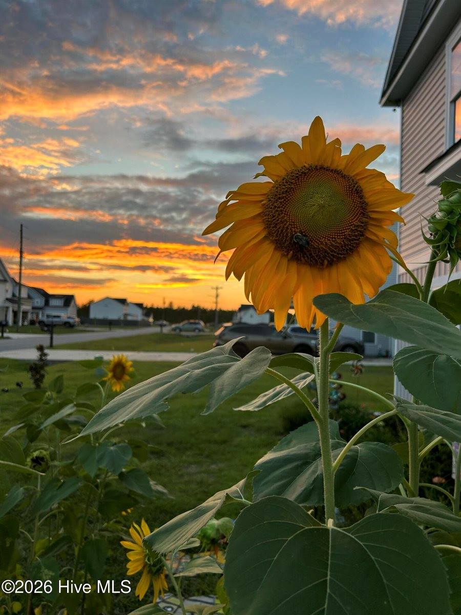 428 Elgin Road, Hubert, NC 28539