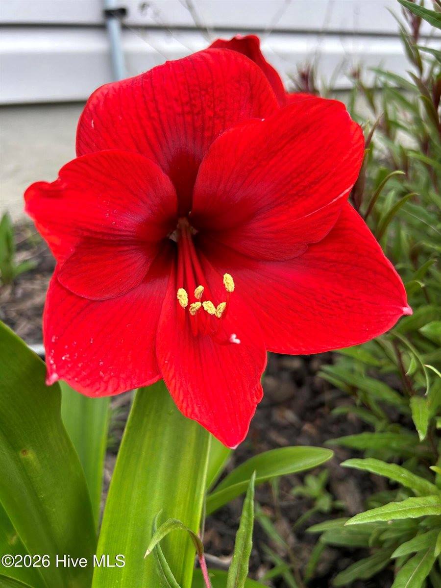 428 Elgin Road, Hubert, NC 28539