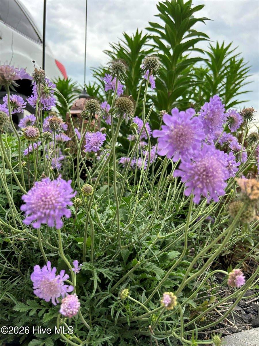 428 Elgin Road, Hubert, NC 28539