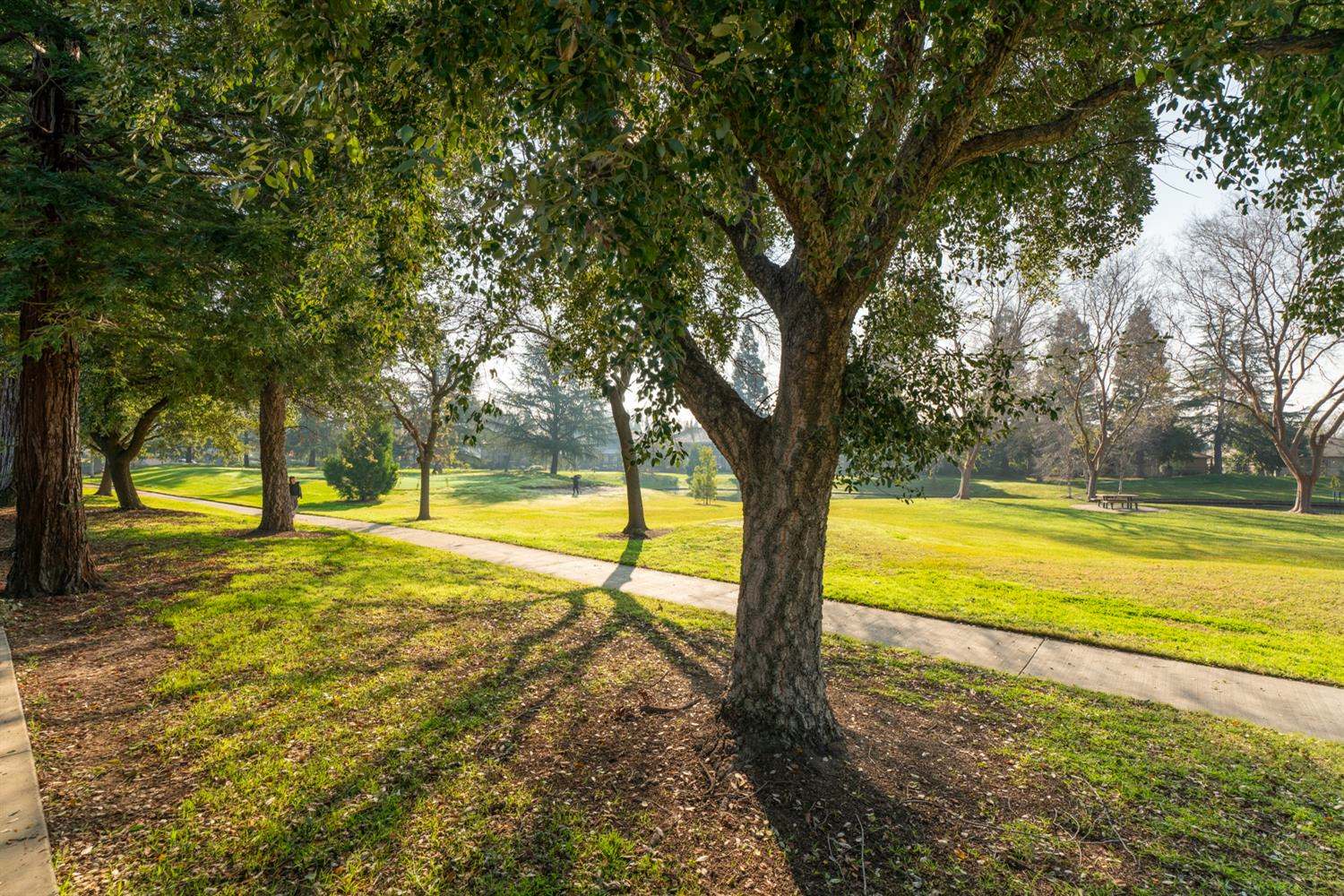 1009 Fountain Drive, West Sacramento, CA 95605