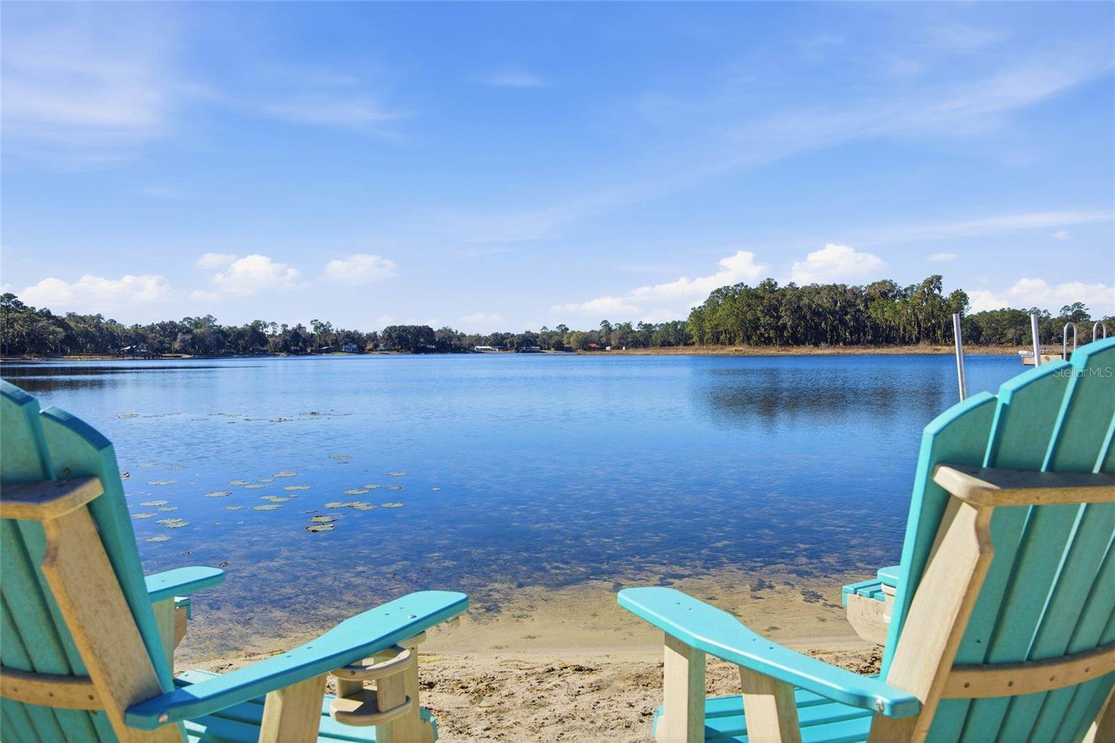 10550 NE 222nd Place Road, Fort Mc Coy, FL 32134