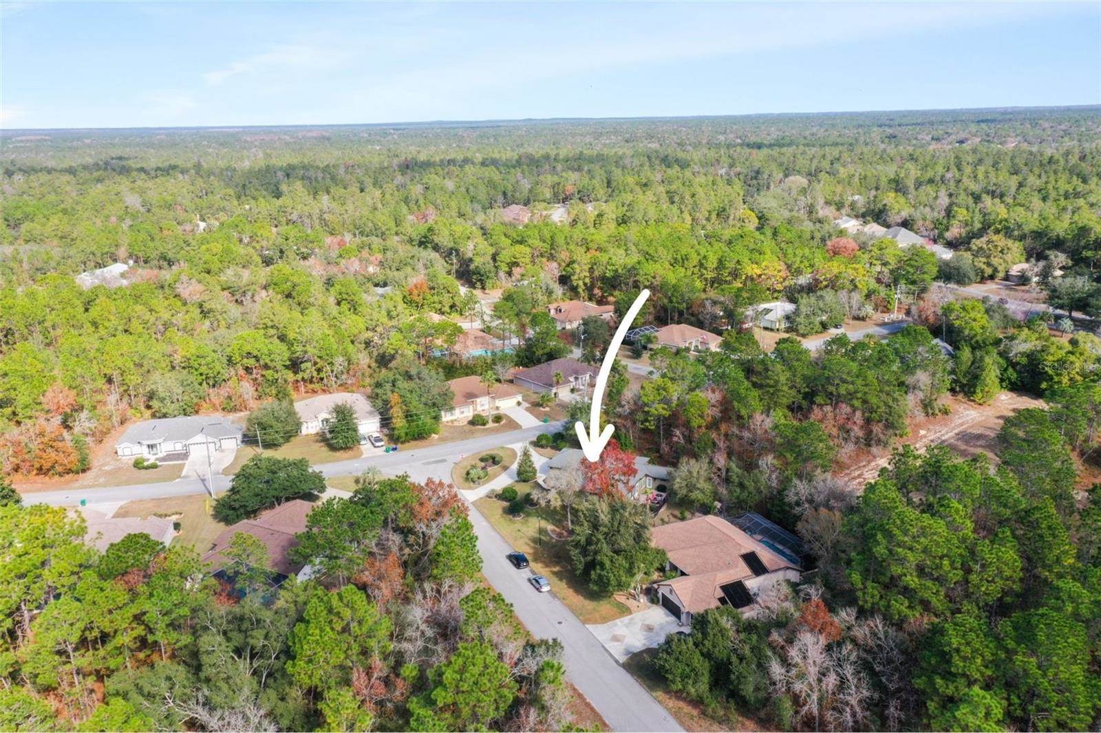 1 Plumbago Drive, Homosassa, FL 34446