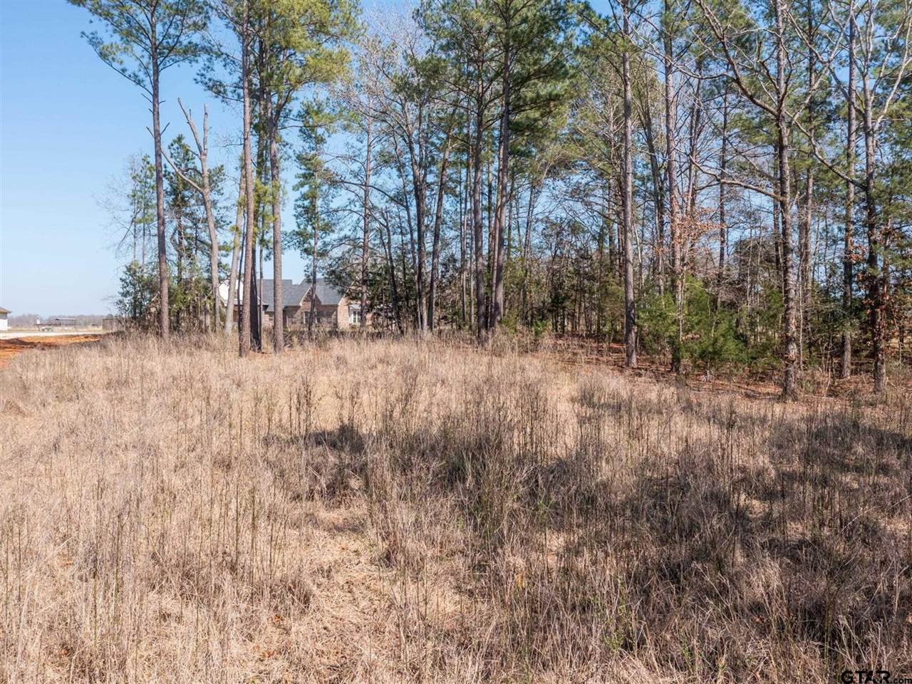 21324 Gatlinburg Road, Bullard, TX 75757