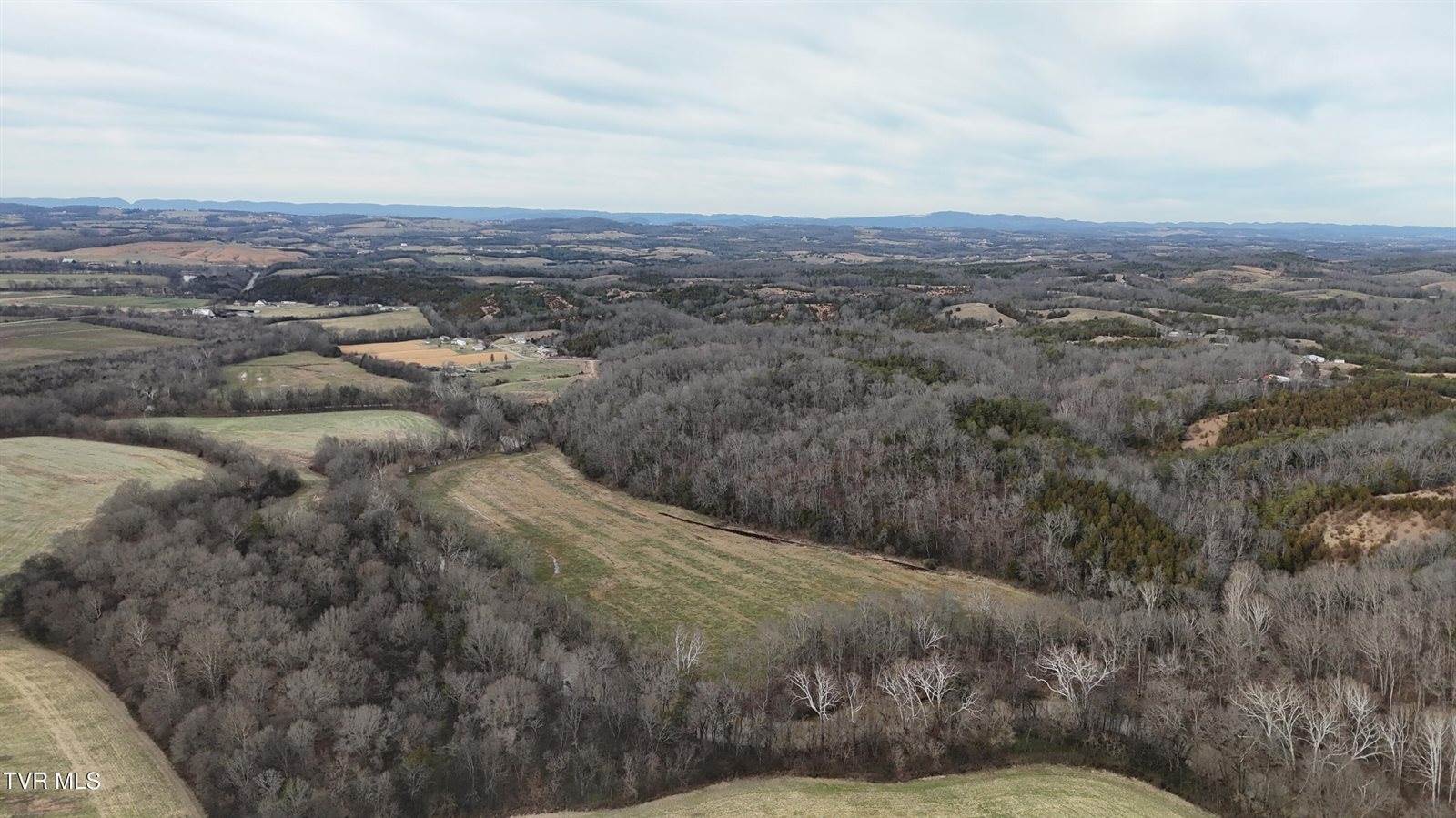 2105 Flea Ridge Road, Mohawk, TN 37810