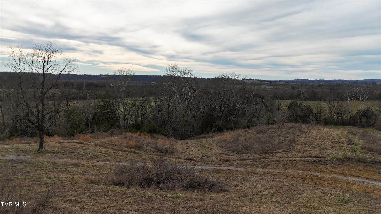 2105 Flea Ridge Road, Mohawk, TN 37810