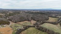 2105 Flea Ridge Road, Mohawk, TN 37810