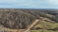 2105 Flea Ridge Road, Mohawk, TN 37810