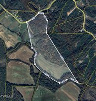 2105 Flea Ridge Road, Mohawk, TN 37810