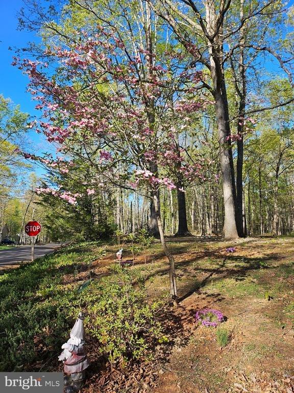 201 Washington Street, Locust Grove, VA 22508