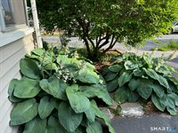 287 Hansen, Bridgeport, CT 06605