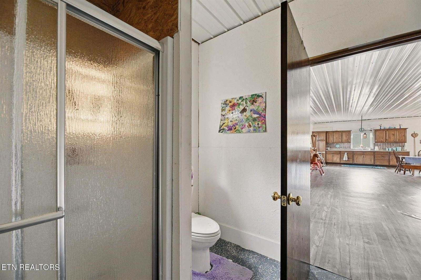 337 Old Collins, Deer Lodge, TN 37726