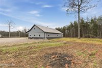 337 Old Collins, Deer Lodge, TN 37726