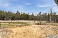 337 Old Collins, Deer Lodge, TN 37726