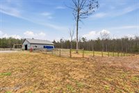 337 Old Collins, Deer Lodge, TN 37726