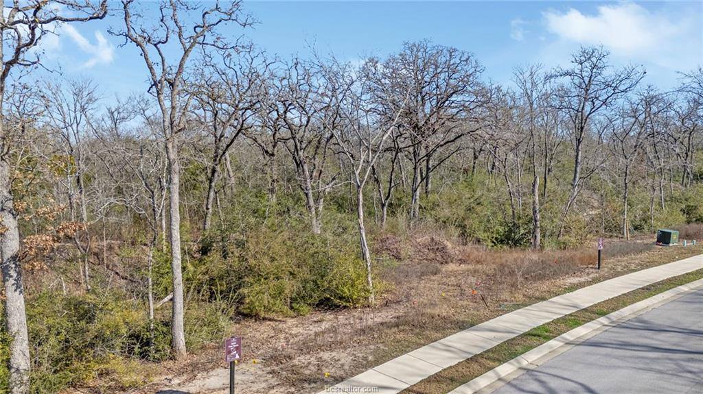 3623 Palo Verde Circle, Bryan, TX 77807