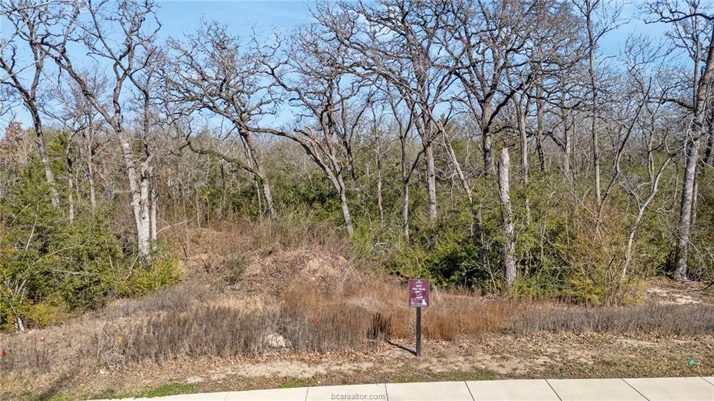 3623 Palo Verde Circle, Bryan, TX 77807