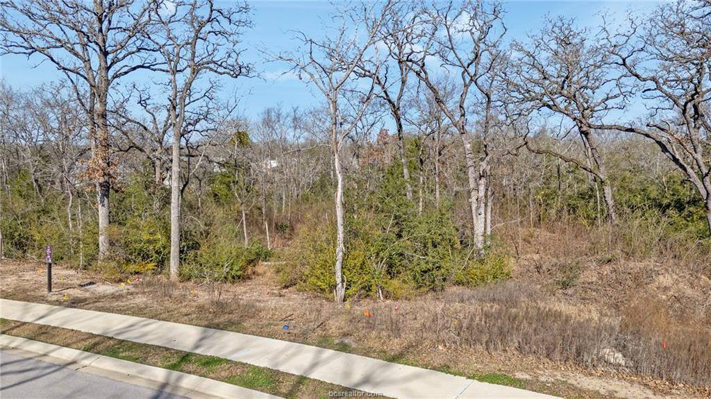 3623 Palo Verde Circle, Bryan, TX 77807