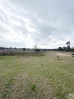 550 County Road 1460, Linden, TX 75563